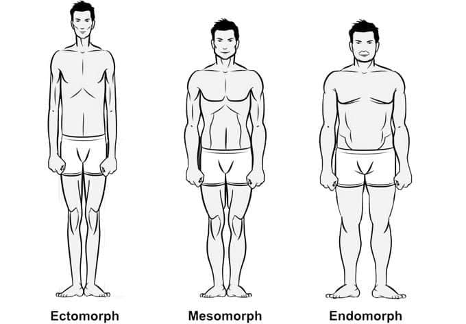 How to Train Right For Your Body Type  Mesomorph body type, Mesomorph body,  Body types women